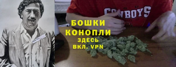ALPHA PVP Аркадак
