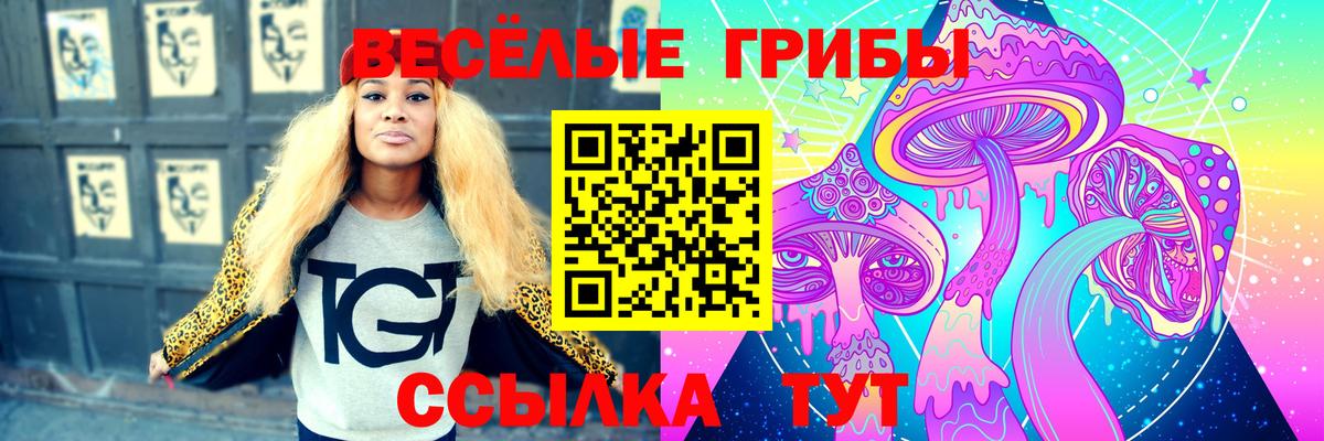 где купить   Галлюциногенные грибы Cubensis  Вход с VPN  Балахна  Псилоцибиновые грибы MAGIC MUSHROOMS 